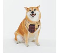 Imprimé maison et fruits beige marron imprimés classiques et écharpes lavables pour chiens et chats élégants bandanas personnalisés pour chiens et chats - Écharpe élégante pour chiens de taille