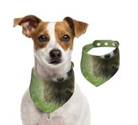 Imprimé Mode Raton Laveur Mignon,Bandanas pour Chien, écharpe en Coton, Bavoirs réglables pour Animaux de Compagnie,M