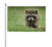 Imprimé mode raton laveur mignon,Drapeau de jardin, bannière décorative, drapeau double face, 2 x 3 pieds, pour extérieur et intérieur