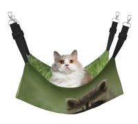 Imprimé Mode Raton Laveur Mignon,Hamac Suspendu pour Chat, lit Suspendu Doux Double Face pour Petits Chiens,L