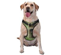 Imprimé Mode Raton Laveur Mignon,Harnais pour Animaux de Compagnie, Harnais réfléchissant réglable pour Chien,XL