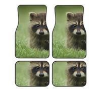 Imprimé Mode Raton Laveur Mignon,Lot de 4 Tapis de Sol pour Voiture, Tapis de Sol antidérapants pour véhicule
