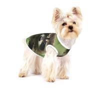 Imprimé Mode Raton Laveur Mignon,T-Shirt sans Manches en Coton pour Animaux de Compagnie, Gilet Respirant, Extensible et Doux,M