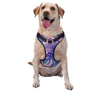 Imprimé Rose Tropical,Harnais pour Animaux de Compagnie, Harnais réfléchissant réglable pour Chien,L