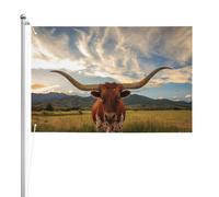 Imprimer un animal de vache,Drapeau de jardin, bannière décorative, drapeau double face, 2 x 3 pieds, pour extérieur et intérieur