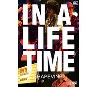In a Lifetime [Import allemand]