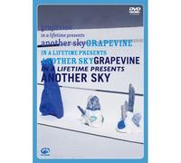 In A Lifetime Presents Another Sky [Dvd + Cd]