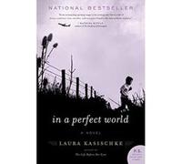 In a Perfect World Laura Kasischke (Auteur)