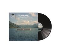 In A Perfect World Vinyle