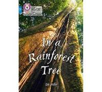 In a Rainforest Tree by Liz Miles Paperback Book Liz Miles (Auteur)