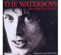 In a Special Place (the piano demos for This Is The Sea)