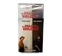 in a Valley of Violence