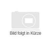 In Berlin, da ist was los! - Wir halten zusammen - BOOK