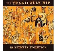 in Between Evolution [Import]