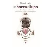 In Bocca Al Lupo. Le Fiabe Di Paura Dei Grimm Tra Letteratura, Cinema E Manga Giapponesi