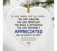 In Case Nobody Told You Today: You Are Amazing, Important & Make a Difference - Panneau d'affirmations | Cadeau de bureau, cadeaux de remerciement, cadeau de retraite, décoration de Noël