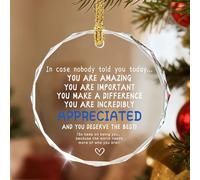 In Case Nobody Told You Today: You are Amazing, Important & Make a Difference - Panneau de reconnaissance | Cadeau de bureau, cadeau d'employé, cadeaux de remerciement, décoration de Noël en cristal