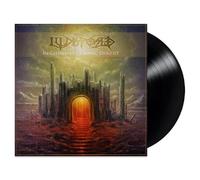 In Chambers Of Sonic Disgust [Vinyl]
