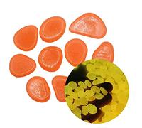 In Decor Glow Lot de 300 galets lumineux pour aquarium - Décoration de jardin - Terrarium tortue - Rouge orange - Taille unique