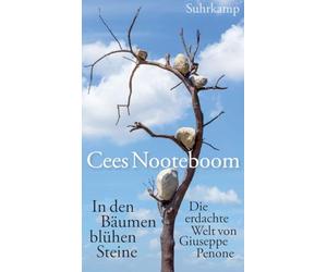 In den Bäumen blühen Steine: Die erdachte Welt von Giuseppe Penone