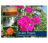 In den Tropen - Ein Blick in die tropische Klimazone (Wandkalender 2026 DIN A2 quer), CALVENDO Monatskalender: Die Tropen begeistern durch eine vielfältige und faszinierende Pflanzenwelt.