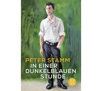 In einer dunkelblauen Stunde: Roman