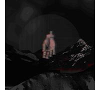 In Fields - Phantoms [Import]