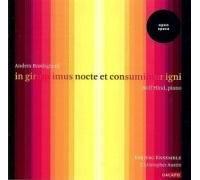 Brodsgaard - Anders Brødsgaard: in girum imus nocte et consumimur igni [Import]