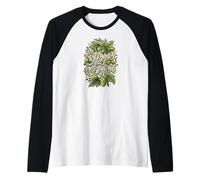 In Hops We Trust Craft Beer Brewing Hops Design Manche Raglan