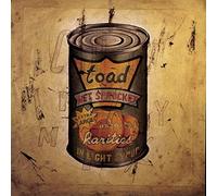 In Light Syrup by Toad The Wet Sprocket [Audio CD] NEUF