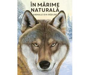 In marime naturala. Animale din padure - Holger Haag, Editie in limba romana