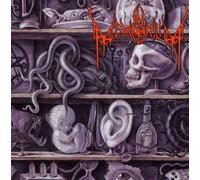 In Memorium – Lost to Antiquity – CD – Universal Music Group