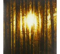 In Mourning - Echoes (Lim.3lp-Box Black Vinyl)