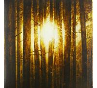 In Mourning - Echoes (Lim.3lp-Box Silver Vinyl)