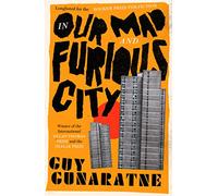 In Our Mad and Furious City: Winner of the International Dylan Thomas Prize