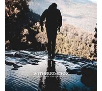 Withered Bones - in Search of Self-Evidence
