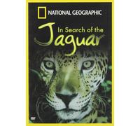 in Search of The Jaguar