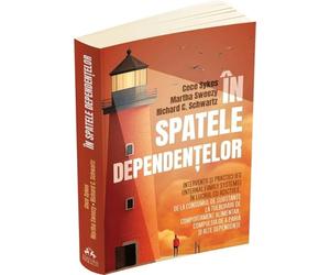 In spatele dependentelor - Cece Sykes, Martha Sweezy, Richard C. Schwartz, Psihopractica, Editie in limba romana