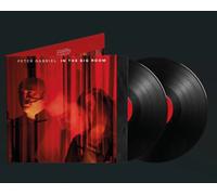 In The Big Room LP, Winyl Virgin