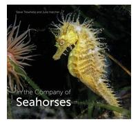 In The Company Of Seahorses