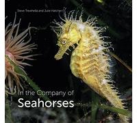 In the Company of Seahorses