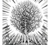 In the Company of Serpents - Ain-Soph AUR