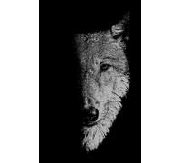 In the Company of Wolves In the Company of Wolves (Auteur)