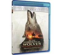 In The Company Of Wolves : An American Journey