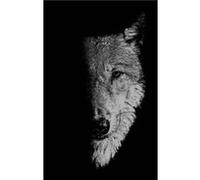 In the Company of Wolves In the Company of Wolves (Auteur)