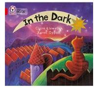 In the Dark by Claire Llewellyn Collins Big Cat (Auteur)