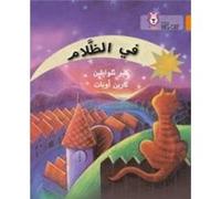 In the Dark by Claire Llewellyn Paperback Book Claire Llewellyn (Auteur)