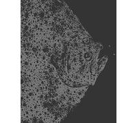 In the Deep Present: Craigie Horsfield