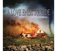 IN THE DISASTER by A LOVE ENDS SUICIDE (2006-09-04)