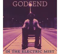 In the Electric Mist